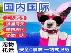 遵义茅台航空邮寄国际宠物托运 【国